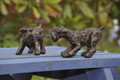 The Great Game a Schnauzer Sculpture by Rosemary Cook