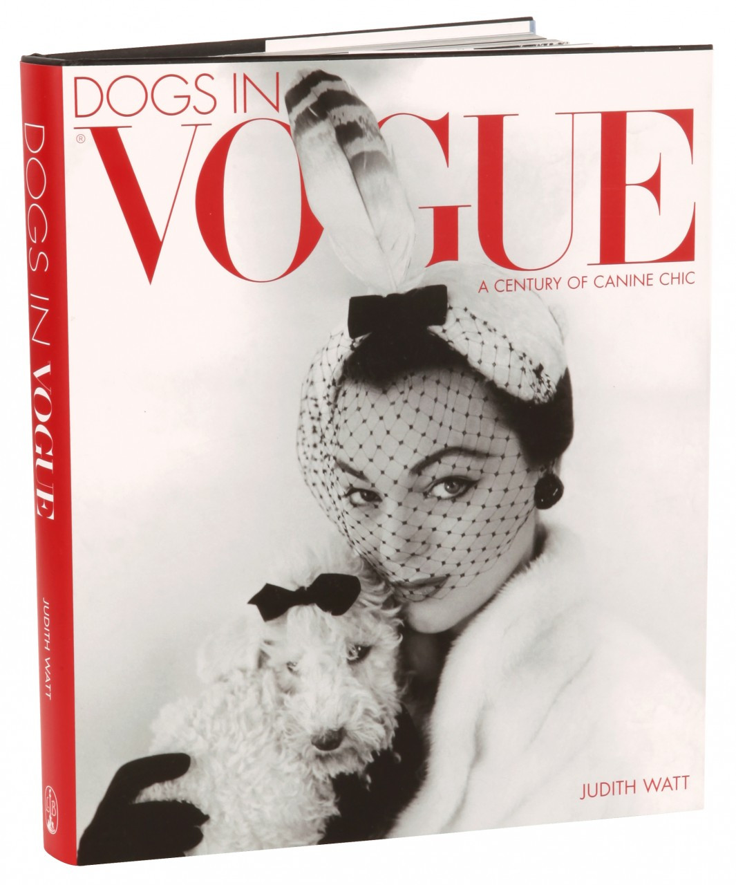 Dogs In Vogue