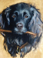   Working Cocker Spaniel Painting by Hazel Morgan