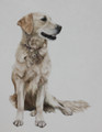  Bracken an Oil Painting by Coral Hutchings