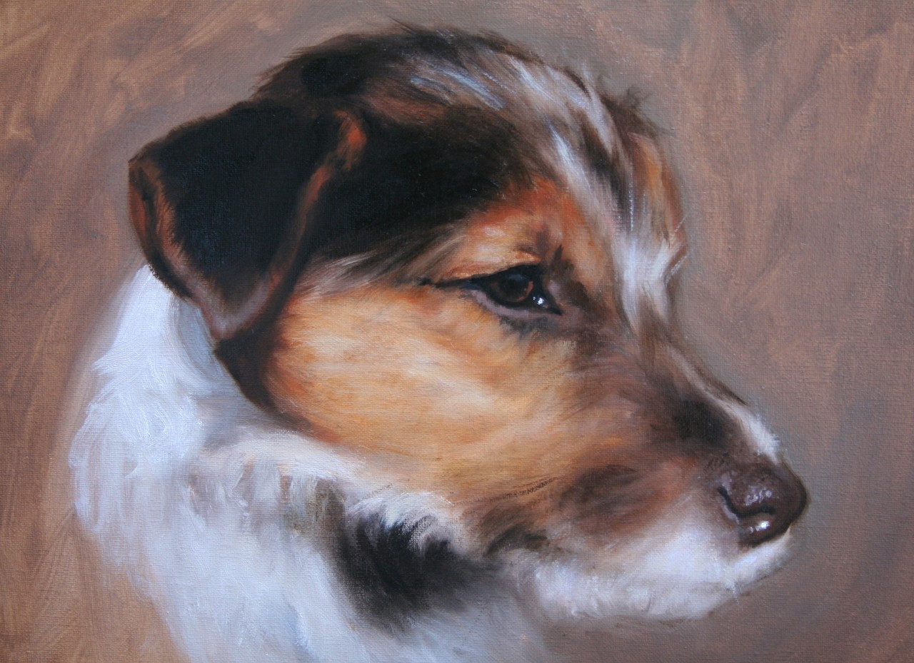 Rought Coated Jack Russell Painting by Hazel