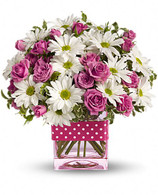 Polka Dots & Posies