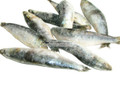 Sardinhas Grada de Peniche Congeladas