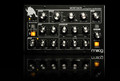 moog miniataur synthesizer