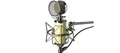 Avantone BV-1 tube microphone