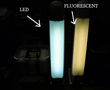 Led Fluorescent