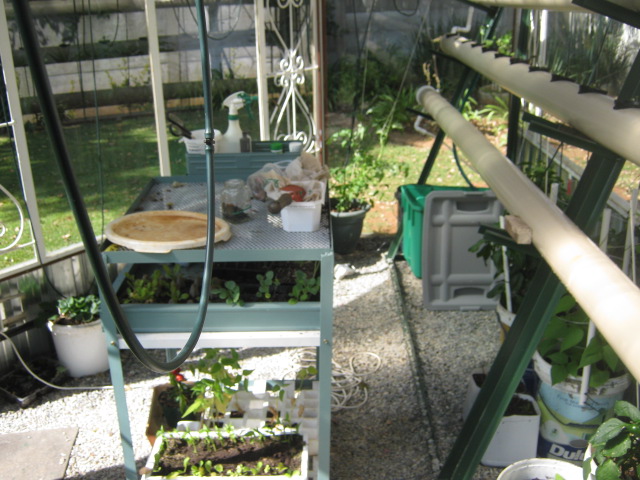 HYDROPONICS GREENHOUSE BUILT FROM SCRAP FOR LESS THAN R5000 ...