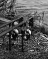 Cygnet T Bar Bank Sticks
