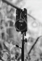 Cygnet Sniper Bank Sticks