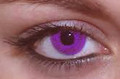 Violet Contact Lenses