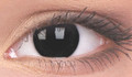 Blackout coloured contact lenses . Contains 1 pair with handy lens storage case.