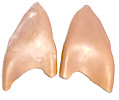 Lightest Pixie/Elf ears