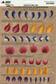 Contains 6 individual laminated sheets that you can paint over again and again to perfect your 1 Stroke technique.