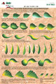 Contains 6 individual laminated sheets that you can paint over again and again to perfect your 1 Stroke technique.