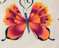 Desert Sunset Butterfly