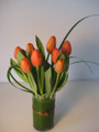 Fresh Tulips