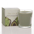 Mediterranean Fig Soy Candle 5.5oz
