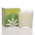 Tahitian Gardenia Soy Candle 5.5 oz