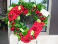 Fresh Bleeding Heart