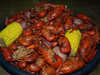 Boiled Crawfish (Sold by the Pound)