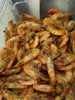 Boiled Louisiana Shrimp (Sold by the Pound)