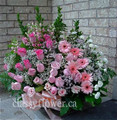 Garden Basket Sympathy Flowers For Her