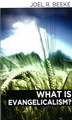 What is Evangelicalism?