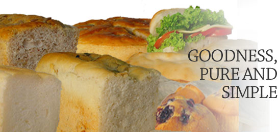 homebanner5.jpg homebanner5.jpg