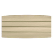 Satin Cummerbund and Bow Tie Set  in Champagne