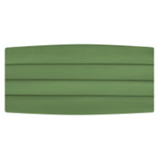 Satin Clover Cummerbund