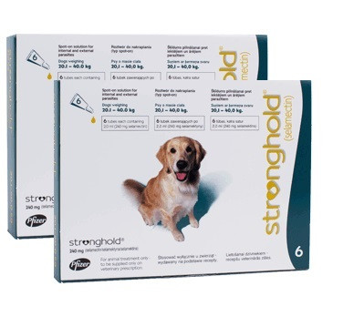 revolution for dogs 21 40 lbs stronghold for dogs 40 1 85 lbs teal 12 pack pet meds revolution for dogs 21 40 lbs stronghold for dogs 40 1 85 lbs teal 12 pack pet meds