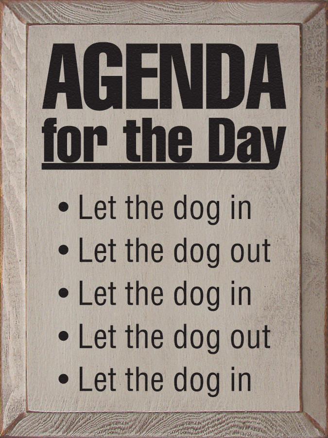 Who Sings Dog Days Are Over Who Sings Dog Days Are Over