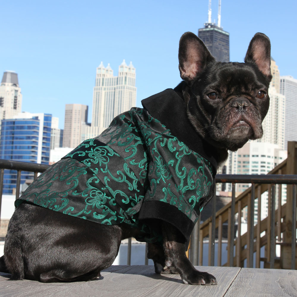 Dog in shop a smoking jacket