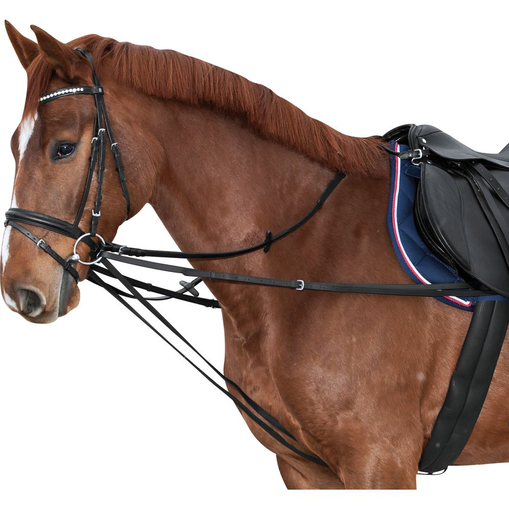 Split Vienna Reins The City Barn Store