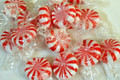 Sugar Free Peppermint Starlight Mints 1Lb