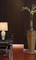 Dark, rich and intensely elegant plywood paneling