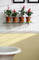 Beadboard paneling used above a chair rail