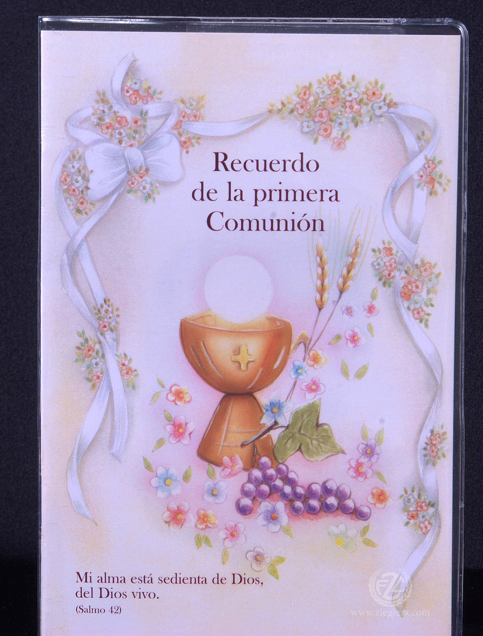 Requerdo De La Primera Comunión Spanish First Communion Keepsake