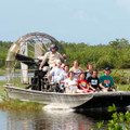 Everglades Airboat Tour + Wildlife Show