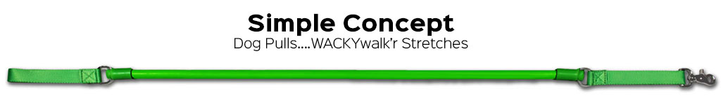 A Better Dog Leash designed to Make Your Walk More Comfortable on both ends of the Leash A Better Dog Leash designed to Make Your Walk More Comfortable on both ends of the Leash