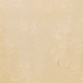Birch Veneer paneling