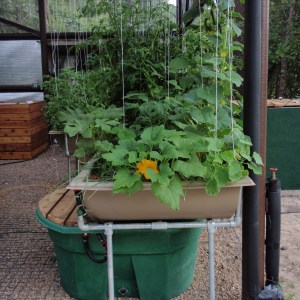 Green Life Aquaponics Overview