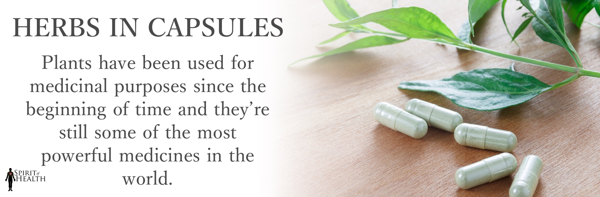 herbs-in-capsules-2.jpg herbs-in-capsules-2.jpg