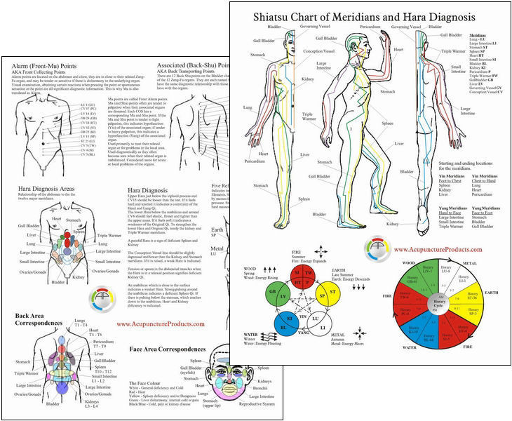 Shiatsu Chart of Meridians - Clinical Charts and Supplies