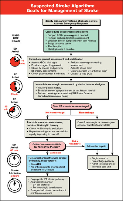 Stroke Algorithm Card - Clinical Charts And Supplies