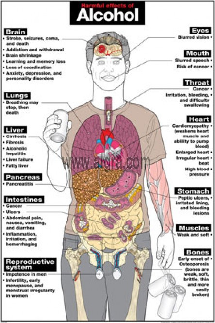 The Dangerous Effects of Alcohol