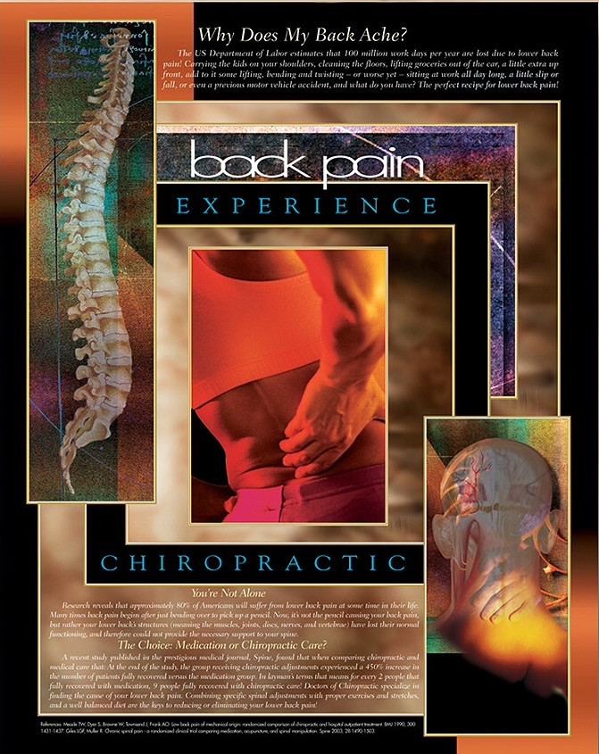 back Pain Poster Clinical Charts and Supplies
