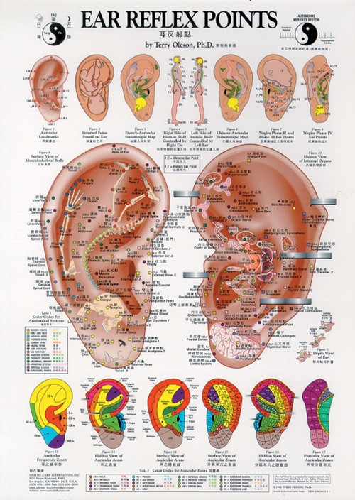 Ear Reflexology Points