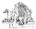 Peter Upton - The Sheykh Limited Edition