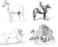 Set of four limited edition Peter Upton prints